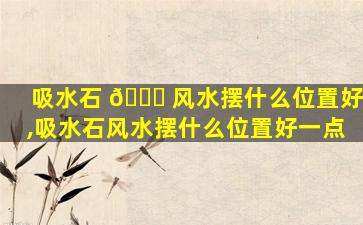 吸水石 🐒 风水摆什么位置好,吸水石风水摆什么位置好一点